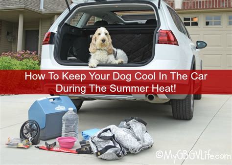 If you have a garage then the summer is a good time to make use of it and if you go. How To Keep Your Dog Cool In The Car During The Summer ...