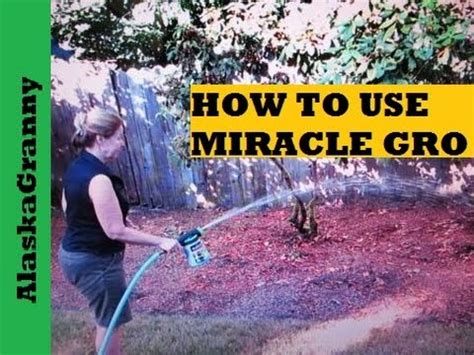 I have since moved on to other dry and liquid fertilizers, but miracle gro definitely will make your lawn look great. How To Use Miracle Gro - YouTube