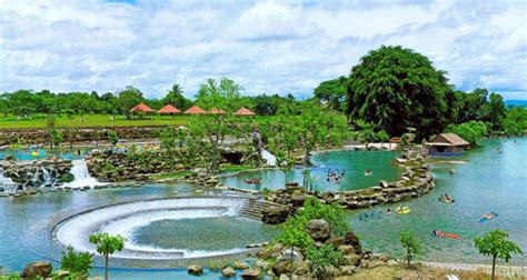 Dơi có nhiều loại nhưng không phải con nào cũng ăn ngon. Khám phá vẻ đẹp khó cưỡng của Khu du lịch Suối Mơ - Đồng Nai