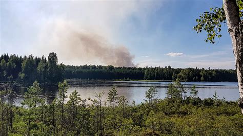 Att berätta mer om detta samt sammanfatta och utvärdera skogsbrandssäsongen 2020. Finspång: Skogsbrand nära länsgränsen - Nkpg.News