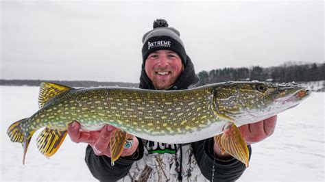 Ice Fishing Pike With Tip Ups How To Catch Pike Through Ice Youtube