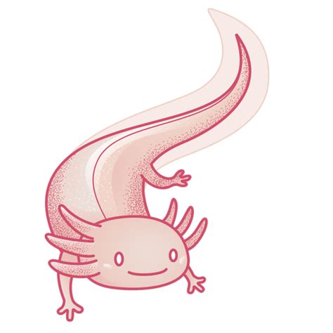 Cute Axolotl Character Transparent Png And Svg Vector File