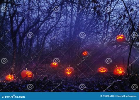 Halloween Pumpkins In Night Forest Stock Photo Image Of Black