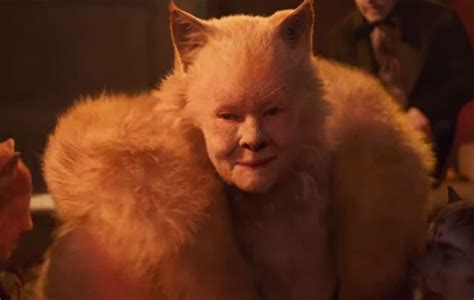 Judi Dench Isnt A Fan Of Her Cats Character A Great Big Orange