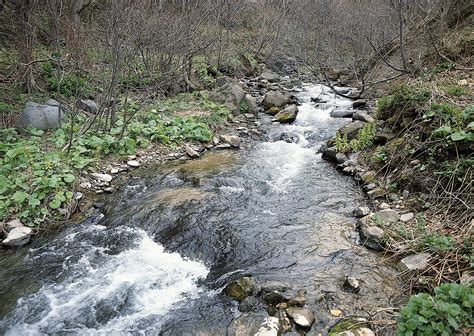 Ríos De Agua Viva Ríos De Agua Viva Banco De Imagenes Gratuitas