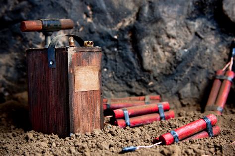 It was invented by the swedish chemist and engineer alfred nobel in geesthacht, northern germany and patented in 1867. Plants Can Detoxify TNT-Contaminated Soil? | Sierra Club