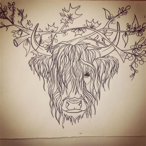 How To Draw A Highland Cow At How To Draw
