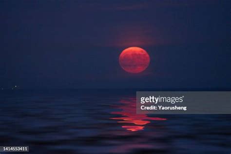 Orange Moon Photos And Premium High Res Pictures Getty Images