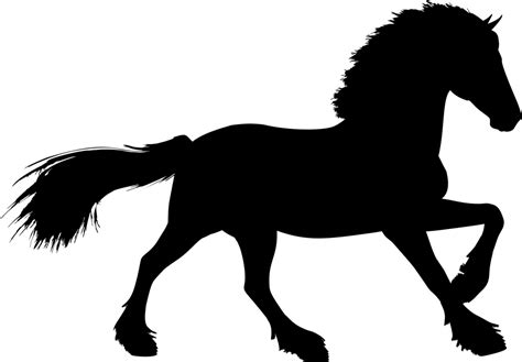 Looking at horses applied conformation the horse magazine. Horse Riding Drawing | Free download on ClipArtMag