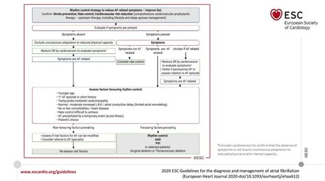 2020 ESC Guidelines For The Diagnosis And Management Of Atrial
