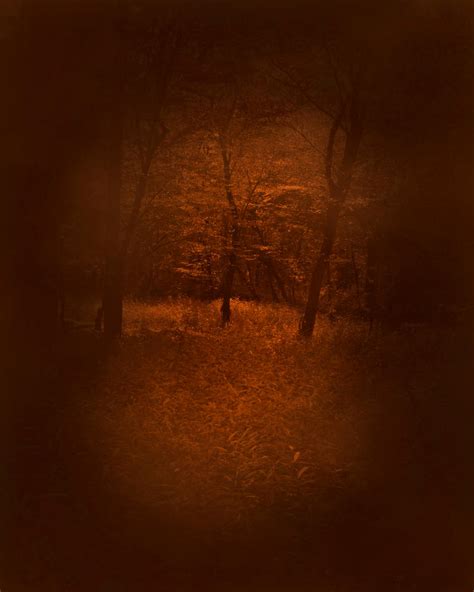 Dark Forest By Zankruti Murray On Deviantart