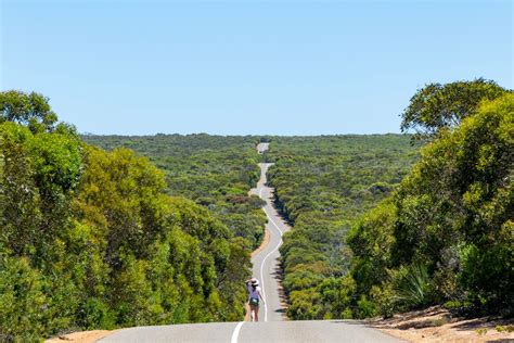 Everything You Need To Know About Kangaroo Island Explore Shaw