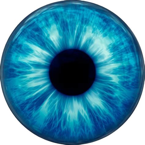 12 Blue Iris Eye Wall Dot Decal Sticker Graphic Removable