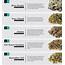 Top 25 Marijuana Strains Across North America In January ⋆ Medible Review