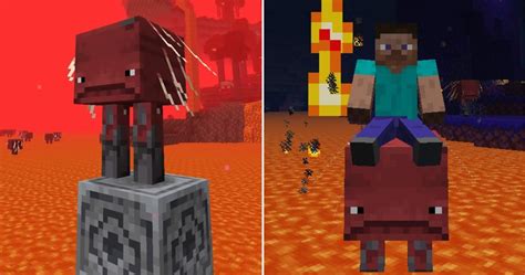 Minecraft 10 Things You Didnt Know About Striders