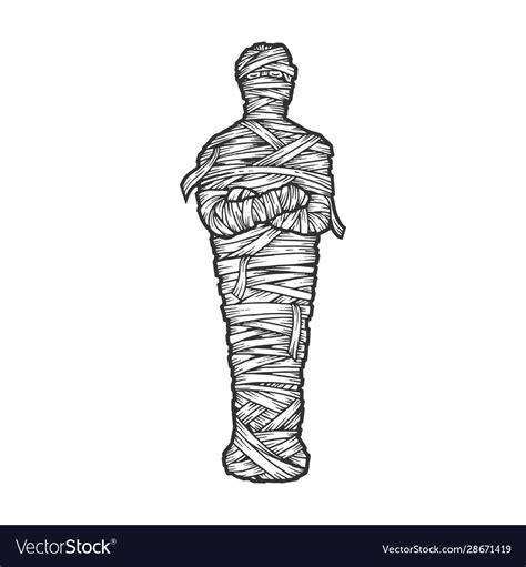 ancient egyptian mummy sketch royalty free vector image