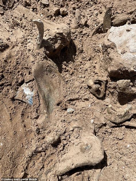 Fourth Set Of Human Remains Found In Drought Hit Lake Mead As Man Says