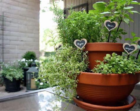 32 Cute Diy Plant Marker Ideas For Container Gardeners Agriculture