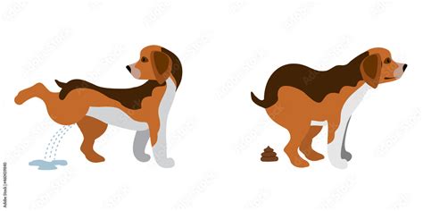 Pooping Dog And Pissing Dog Vector Illustration Dogs Poop Clip Art