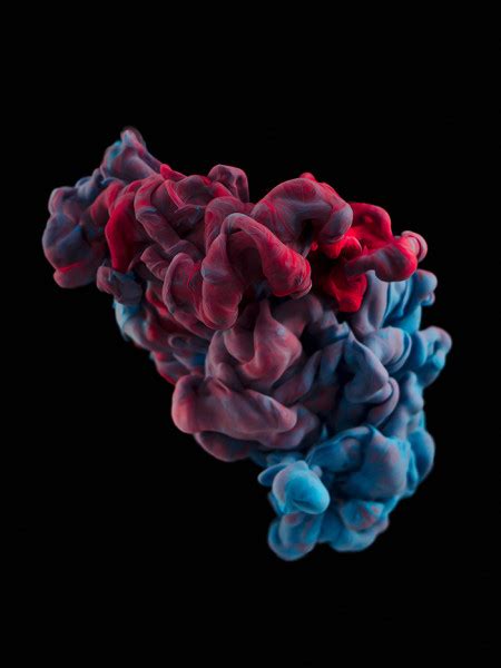 Stunning High Speed Photographs Of Ink Like Youve Never Seen It Before