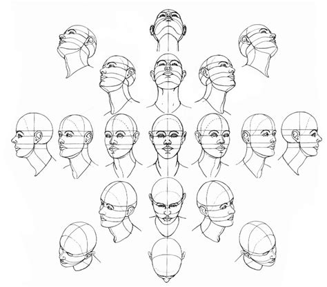 1024x902 Drawing Of Different Faces Drawing Face In Different Angles