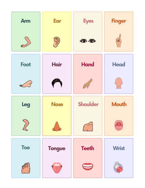 Free Body Parts Flashcards For Autism And Speech Therapy Autistichub