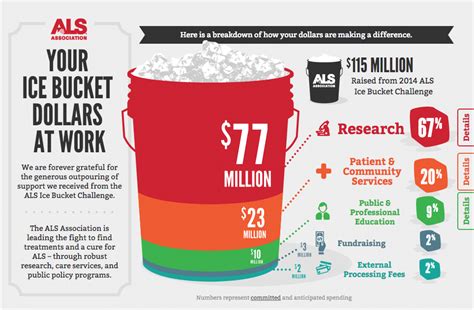 The disease causes the death of. An Exercise in Crisis Communications: The ALS Ice Bucket Challenge - For Momentum