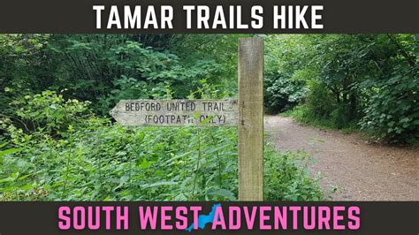 Walking An Old Mining Trail In The Tamar Valley Devon 🇬🇧 Youtube