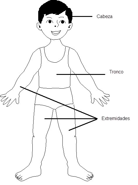 Clases De Ciencias Primaria Cuerpo Humano