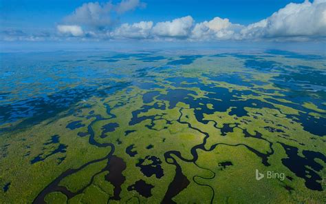 Aerial View Of Everglades National Park In Florida 2016 Bing Desktop