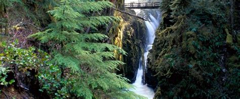Bridge Over Sol Duc Falls Olympic National Park Wallpapers Wallpapers