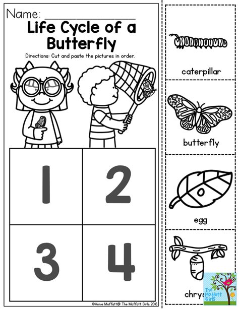 Life Cycle Of A Butterfly Worksheet For Preschool Brenda Baileys