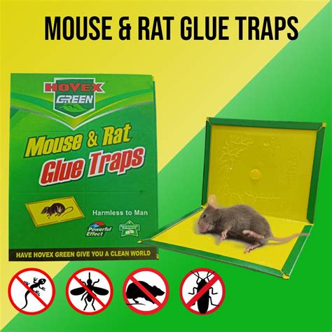 Vic Non Toxic Mouse And Rats Glue Traps Rat Trap Control Killer Pest