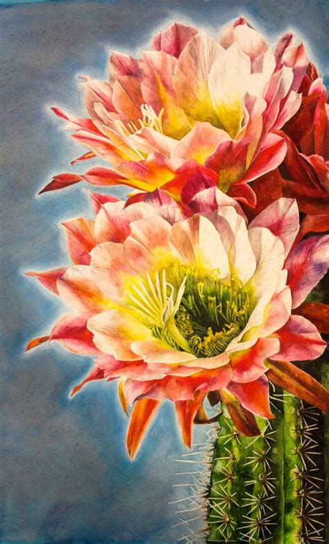 Cactus Bloom Watercolor Print Cactus Flower Painting Cactus Art