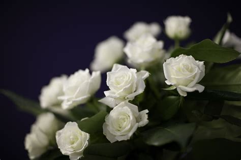 Send a memorial contribution to help pay for memorial expenses. The 6 Types of Sympathy Flower Arrangements Used at ...