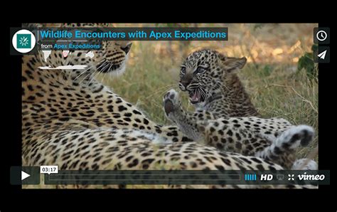 Wildlife Safari And Adventure Tours Apex Expeditions
