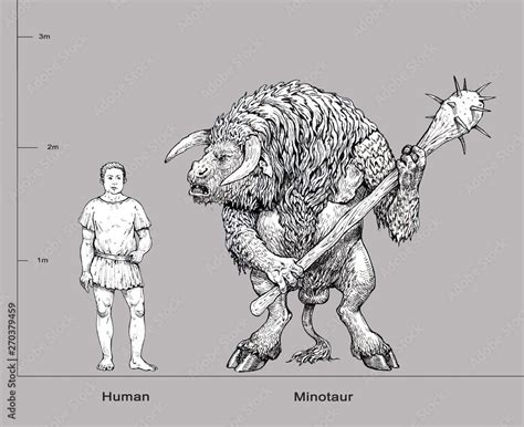 Monster Illustration Minotaur And Human Anatomy Comparison Fantasy