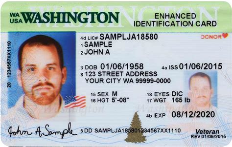 How To Spot A Fake Id