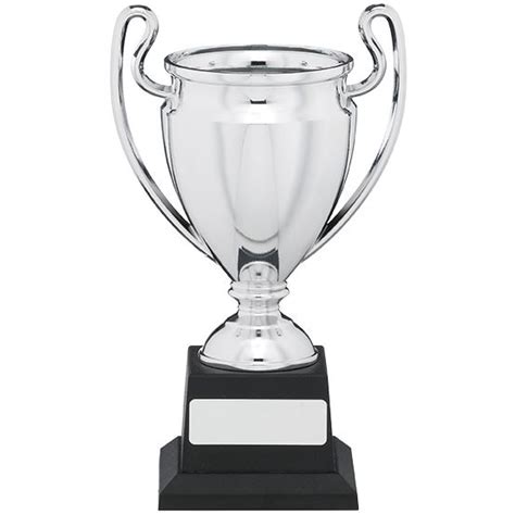 Engraved Silver Trophy Cup Free Engraving All Sports Trophies