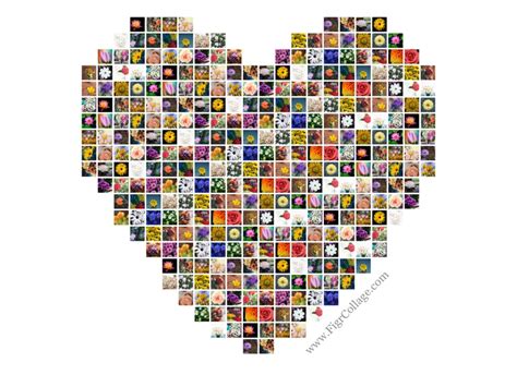 Make A Heart Shaped Photo Collage In 60 Seconds Figrcollage