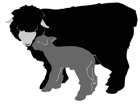 Sheep Goat Silhouette Clip Art Sheep Png Download 1024764 Free