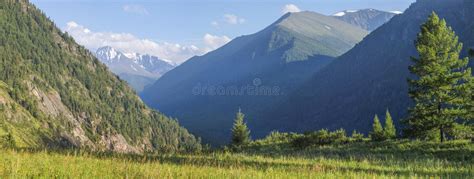 Mountain Valley Snow And Greens On The Slopes Summer Panorama Nature