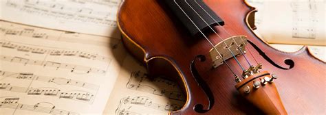 Learning The Violin As An Adult London Violin Institute