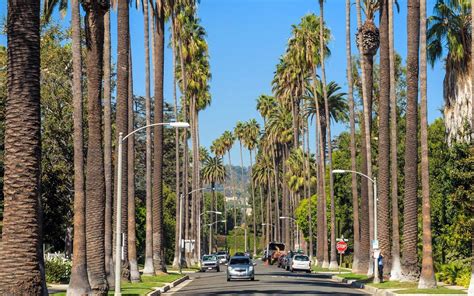 Living In Beverly Hills Things To Do And See In Beverly Hills