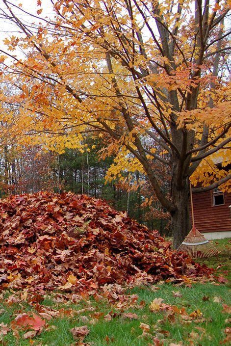 How To Winterize Your Lawn And Shrubs Landscaping Network Autumn