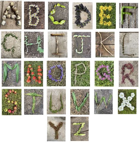 Nature Alphabet Cards Printable Digital Download Natural Early Etsy