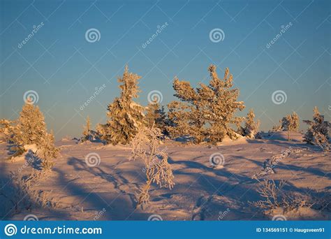 Photo About Winter Landscape In Hedmark County Norway Snow Covered