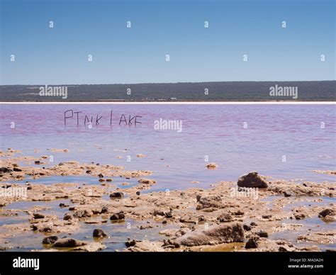 Pink Lake Hutt Lagoon Port Gregory Western Australia Stock Photo