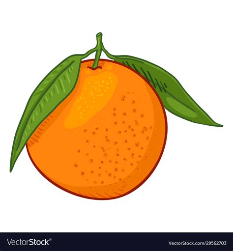 Cartoon Orange Fruit With Green Leaves Royalty Free Vector
