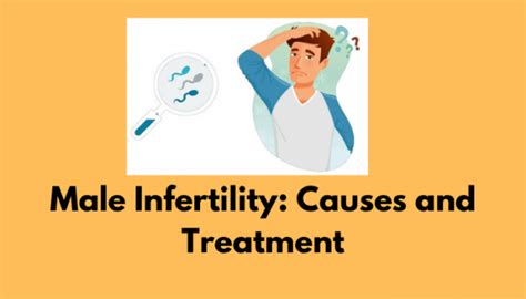 Male Infertility An Overview Of The Causes And Treatments Saishree Ivf